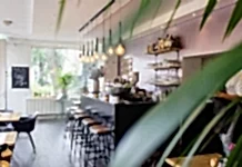 İşletmeniz için Cafe Tasarımları ve Konseptlerini Keşfedin