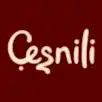 Çeşnili Döner